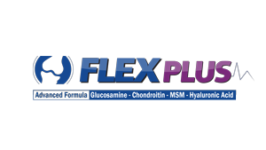 Logo-FELEX-PLUS-final